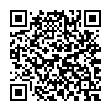 QR code for 384 WYN