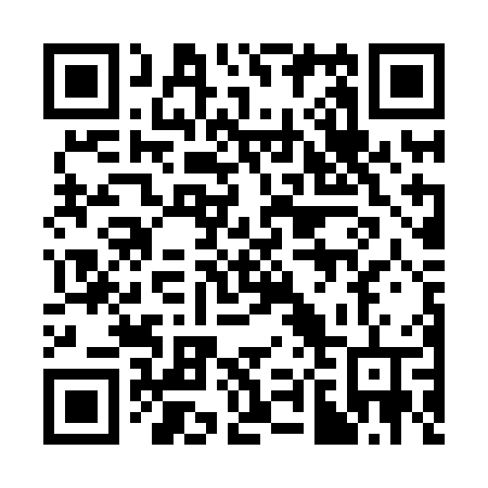 QR code for 384 XOV