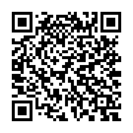 QR code for 384 XVP