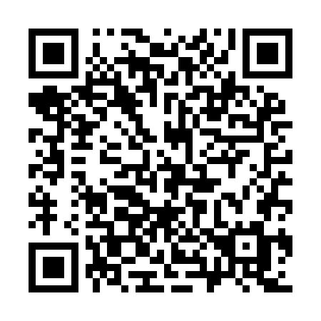 QR code for 384 YGM