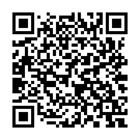 QR code for 384 YSW