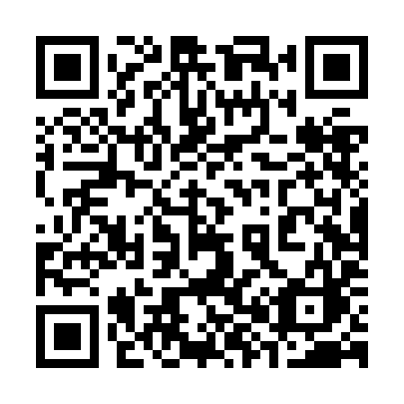 QR code for 384 ZIC
