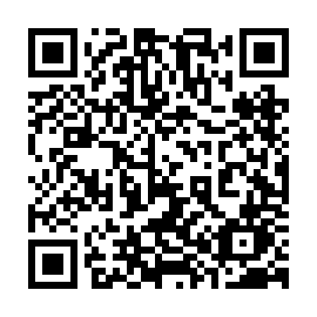 QR code for 384BON