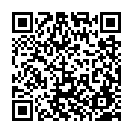 QR code for plate 384 GWF