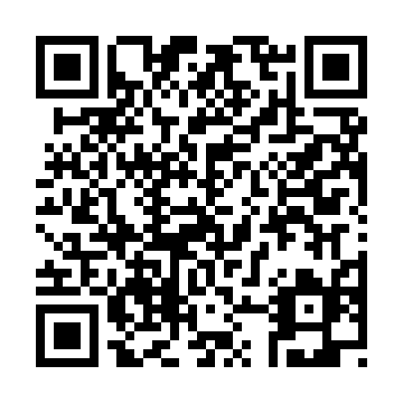 QR code for plate 384 IHG