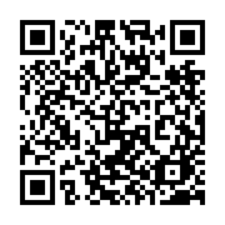 QR code for 384NEC