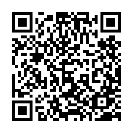 QR code for plate 384 TDW