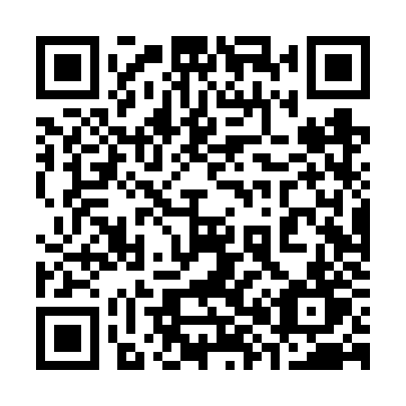 QR code for 384VZT