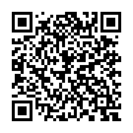 QR code for 385 DAZ