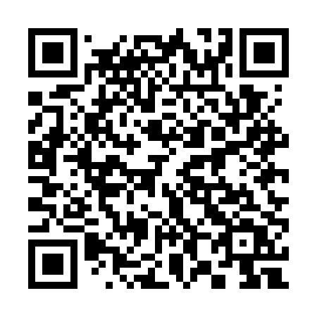 QR code for 385 GPT