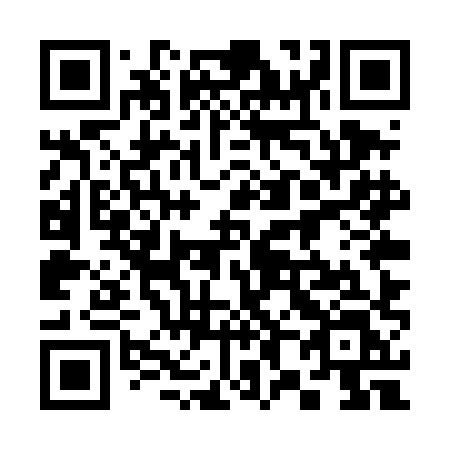 QR code for 385 THL