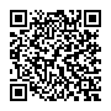 QR code for 385HOX