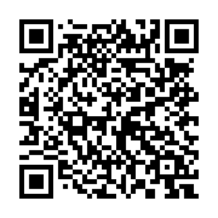 QR code for 385LPT