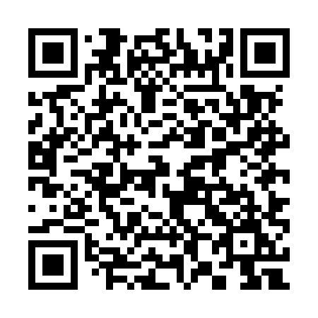 QR code for plate 385 MXM
