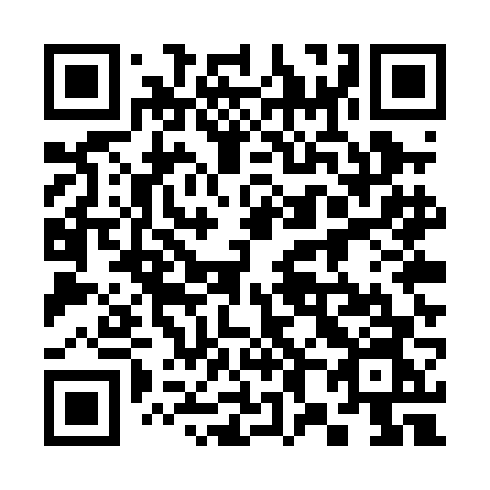 QR code for 385PFN