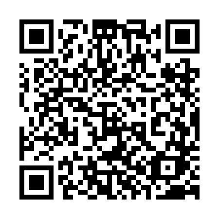QR code for plate 385 SDK