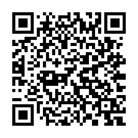 QR code for plate 385 UKQ