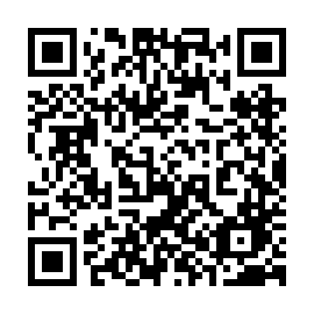 QR code for 386 RDD