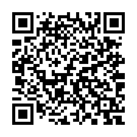 QR code for 386 TIP