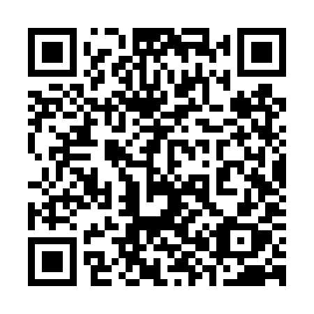 QR code for 386 TYX