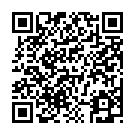 QR code for plate 386 DHU