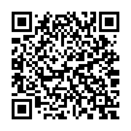QR code for plate 386 RKI