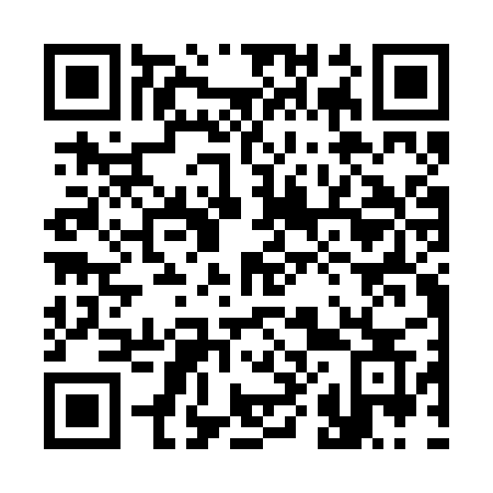 QR code for 387 BRS