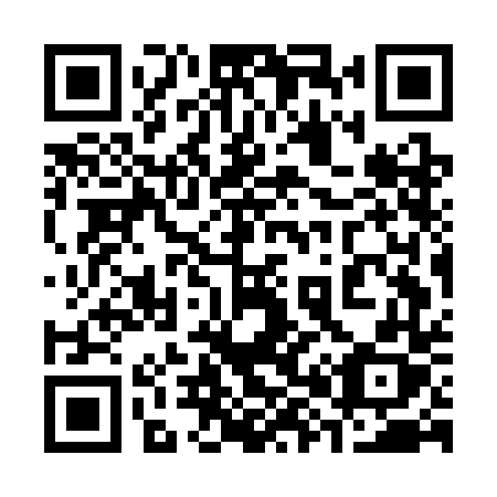 QR code for 387 CDX