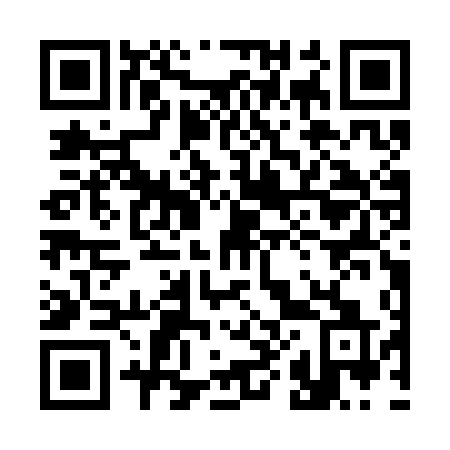 QR code for 387 SDQ