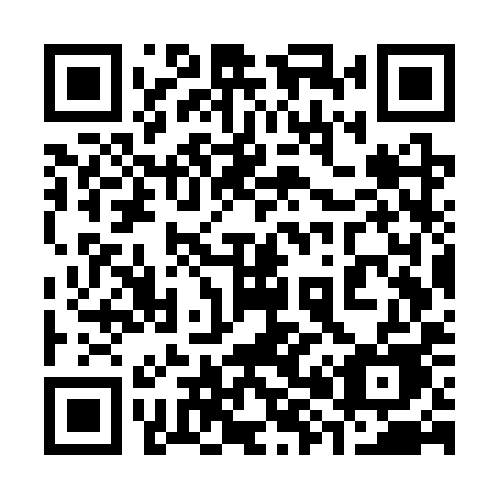 QR code for 387 SYE