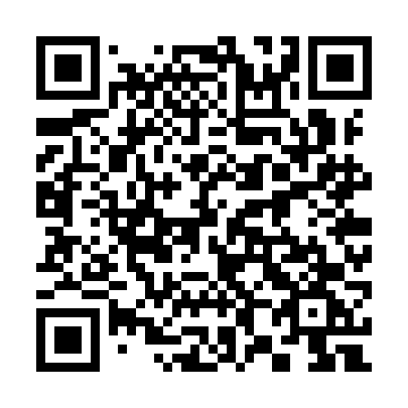 QR code for 387 YFG