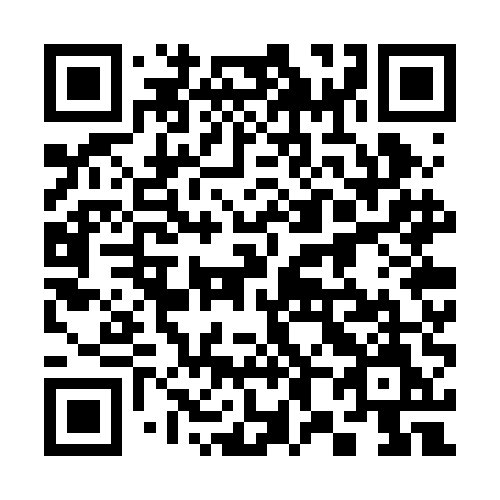 QR code for plate 387 REM