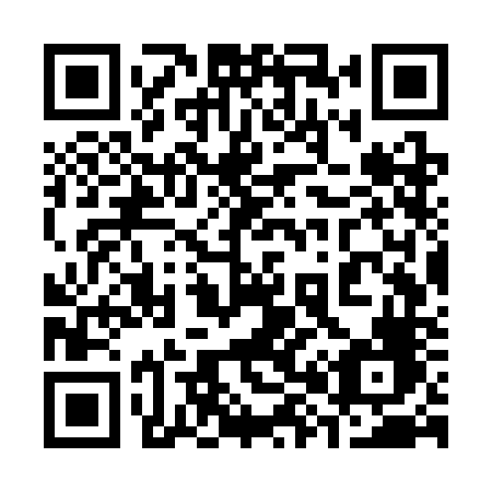 QR code for plate 387 SNF