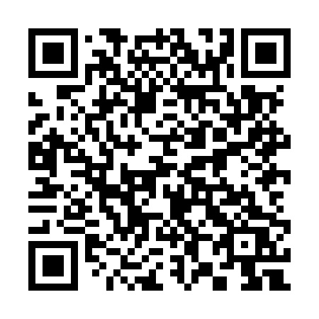 QR code for 388MPS