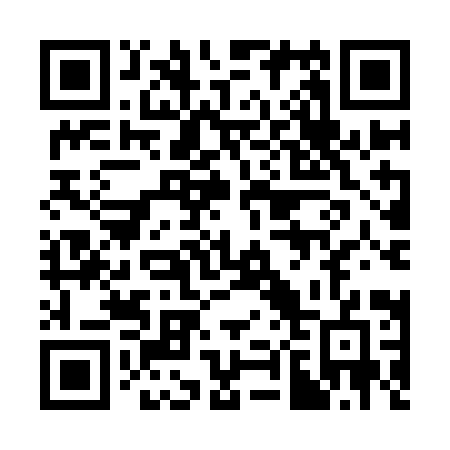 QR code for 389IIG