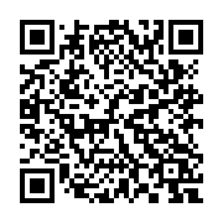 QR code for plate 389 JDS
