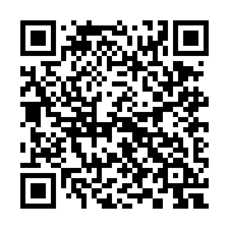 QR code for 390 DIF