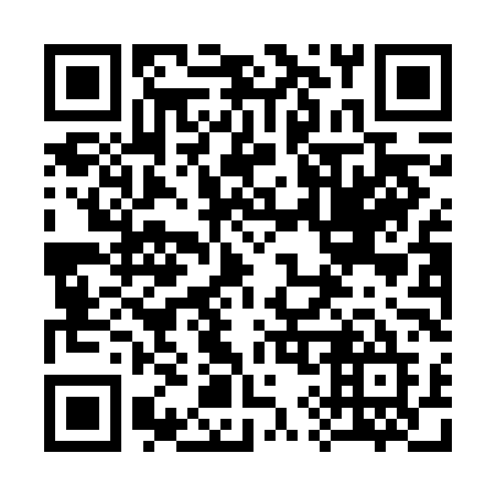 QR code for 390 FLE