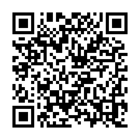QR code for 390 XIJ