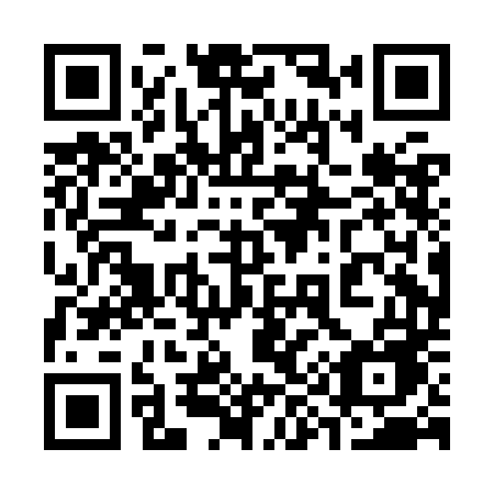 QR code for plate 390 KDE