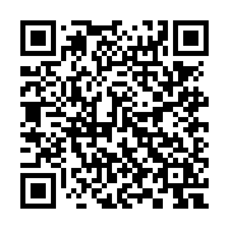 QR code for plate 390 NHX