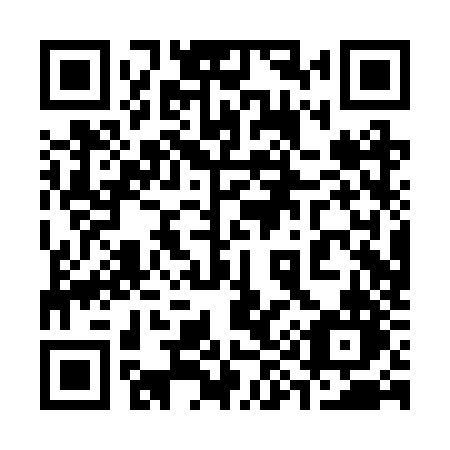 QR code for plate 390 RZN