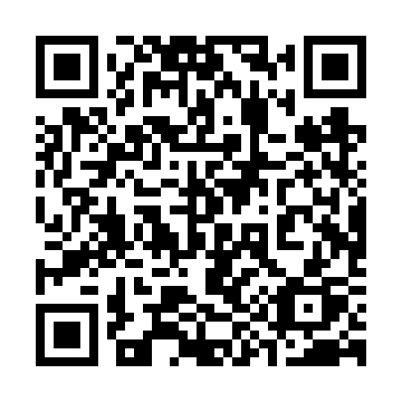 QR code for 390VSP