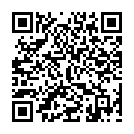 QR code for plate 390 WLE