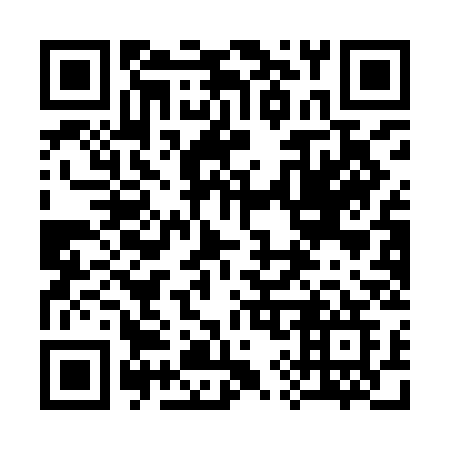 QR code for 391 ICG