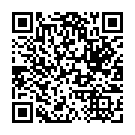 QR code for plate 392 IJS