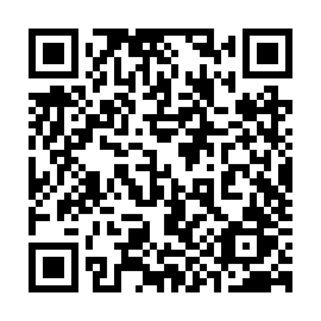QR code for plate 392 RZR