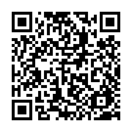 QR code for plate 392 TZG