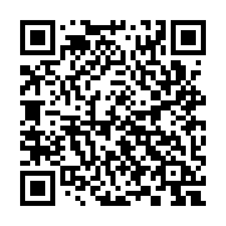 QR code for 393 AYB