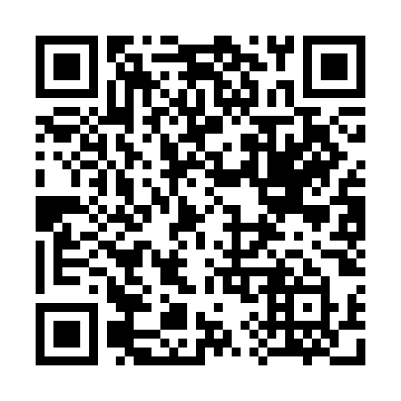 QR code for 393 COY